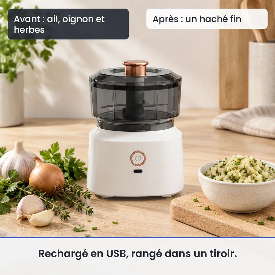 Avant/après avec le hachoir électrique 350 ml blanc bol plastique USB : ail, oignon et herbes, puis un haché fin