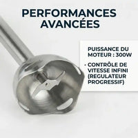 Hachoir blender électrique 300W mixeur plongeant — dimensions et format
