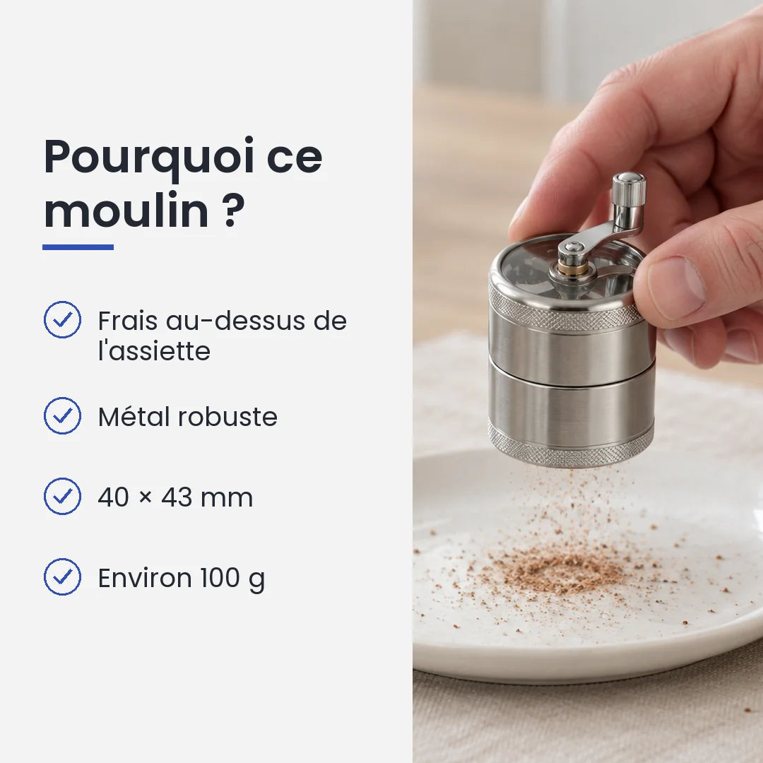 Pourquoi choisir ce moulin : frais au-dessus de l'assiette, métal robuste, 40 × 43 mm, environ 100 g