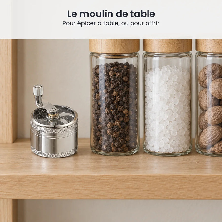 Petit moulin argenté à manivelle sur une étagère en bois à côté de bocaux de poivre, de gros sel et de noix de muscade