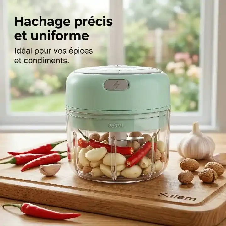 Mini hachoir électrique 30W 100–250 ml plastique — accessoires inclus