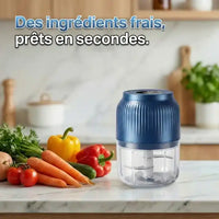 Mini hachoir électrique USB 250 ml – 3 lames inox sans fil — dimensions et format