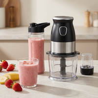 Hachoir blender 500 W avec gourde 600 ml, résultat obtenu